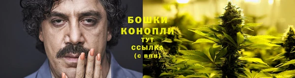 бутират Гусев